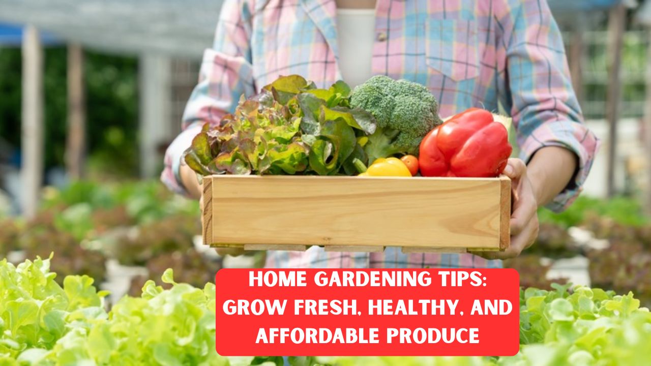 Home Gardening Tips: Grow Fresh, Healthy, and Affordable Produce